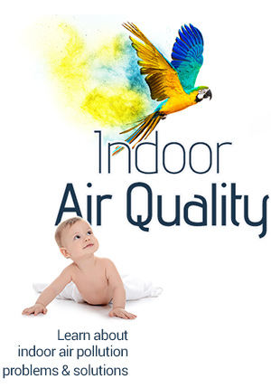 indoor air pollution eGuide