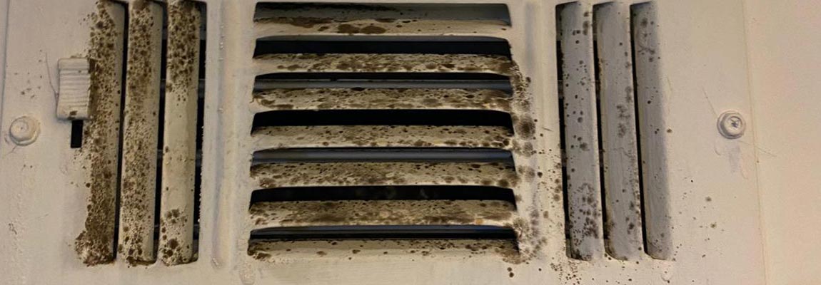 Vent Cleaning