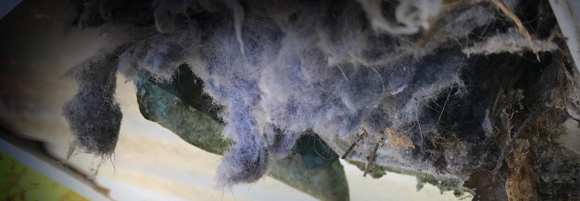 Top Reasons to Call a Professional for Dryer Vent Cleaning