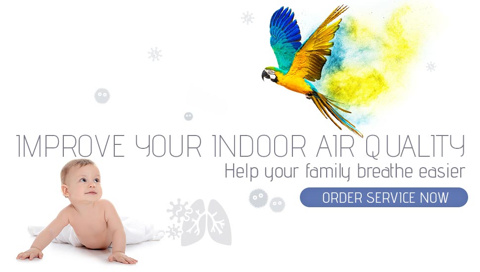 Improve Your Indoor Air Quality