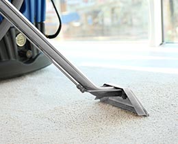 Carpet and Rug Cleaning